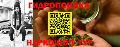 соль ск Краснодар
