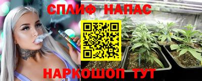 индика Краснознаменск
