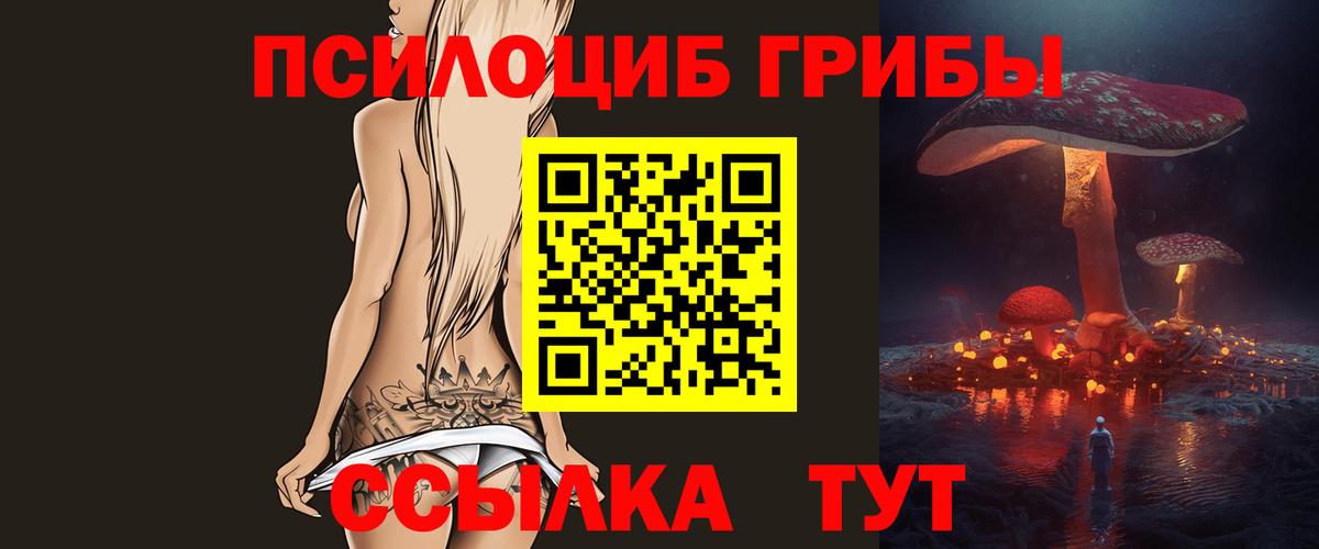 Галлюциногенные грибы Psilocybine cubensis Аксай